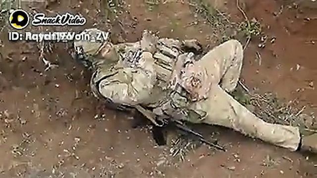 ВОВ, СВО смотреть онлайн