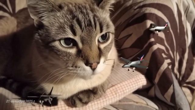 Нейроклип "Мы пилоты Зазеркалья" смотреть онлайн