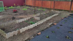 Движемся вперёд медленно, но уверенно. Жизнь станичная на пенсии.