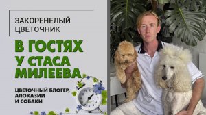 В гостях у Стаса Милеева. г. Анапа. Цветочный блогер, алоказии, монстера, кот и собаки. Уютный дом.