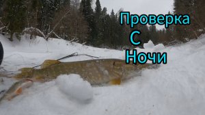 КОСЫНКИ. Проверка с ночи. Один в лесу.