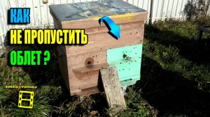 ХОРОШАЯ ПОГОДА И ПЧЕЛЫ ВЫШЛИ НА ПОСЛЕДНИЙ ОБЛЕТ. ПЧЕЛОВОДСТВО 25-37