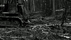 1968 год. ХМАО. Лесорубы прорубают просеку