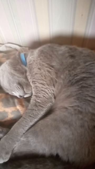 Поели теперь можно и поспать