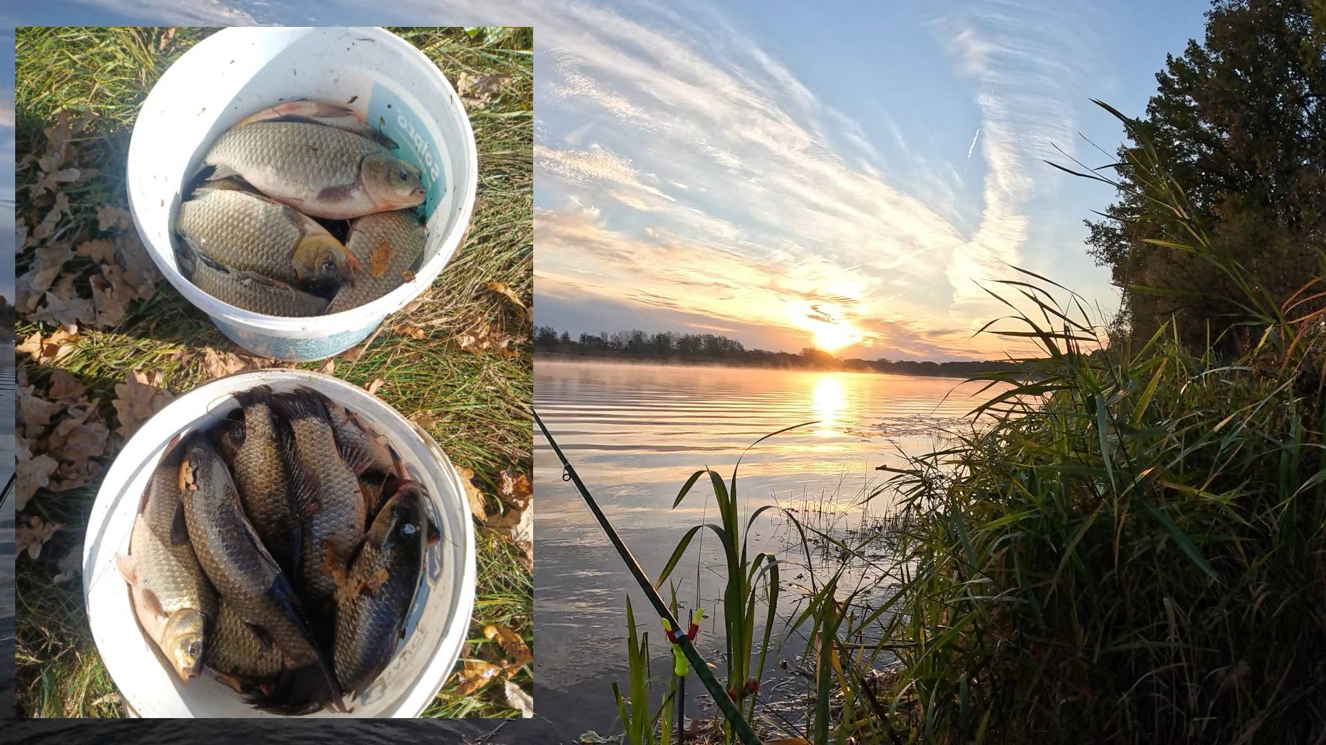 Поймали 2 ведра карасей Рыбалка 2025 часть 6 смотреть онлайн