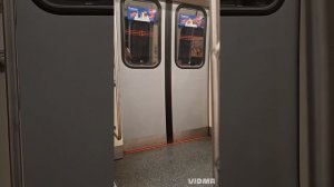 Невско-Василеостровская линия (07.09.2025)