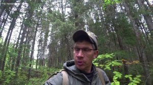 1 Открытие осенней охоты на уток. Охота с подхода. Первые добычи. 1 серия