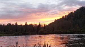 Эх, сейчас бы на рыбалочку..