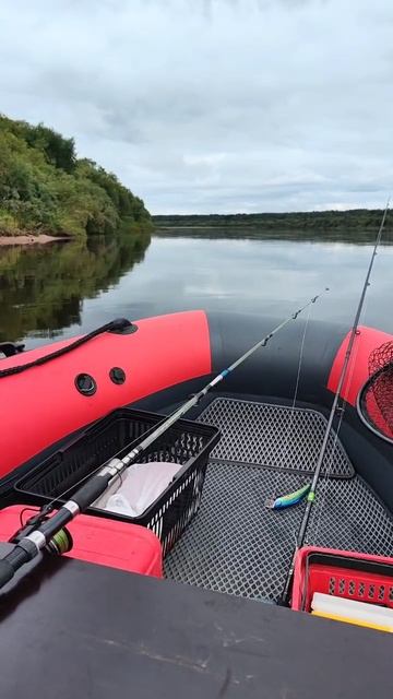 1000018100.mp4 смотреть онлайн