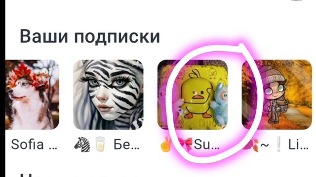 Мои подписки 👇