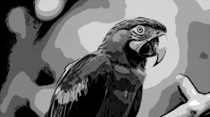 Говорящие Животные: Попугай разговаривает