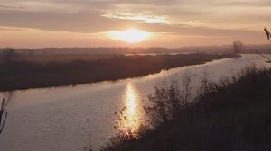 Деревенская жизнь. Хроника дня.