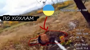 АКТУАЛЬНАЯ ПОДБОРКА ДРОНОВ ПО ХОХЛАМ