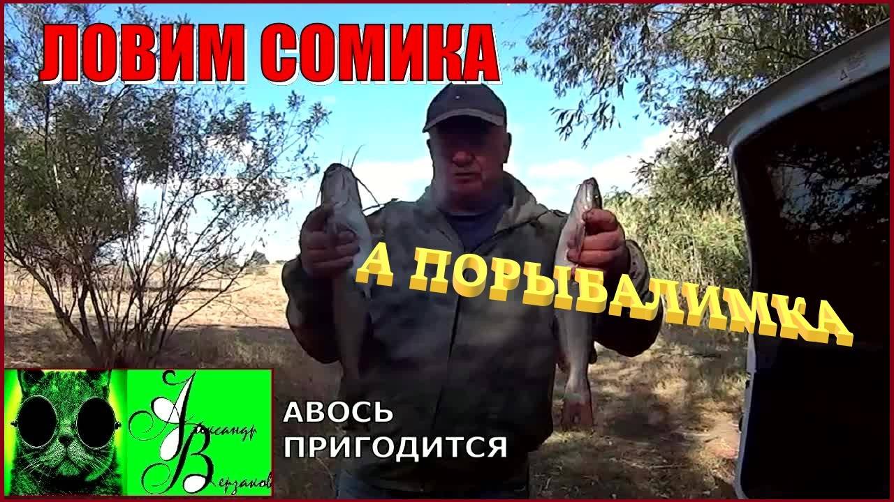 Ловим сомика. А порыбалимка 6-й выпуск 25г.