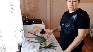 Готовлю лечебную смесь для иммунитета / погода - снова « Бабье лето « / покрасила печку!
