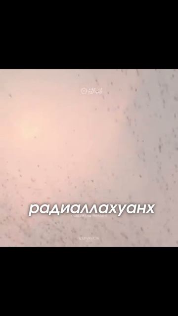 Историки в ШОКЕ от этого аята! смотреть онлайн