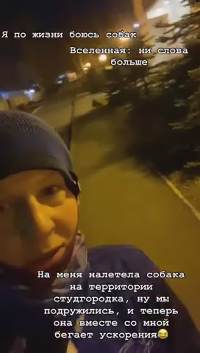 Когда боишься собак😅 смотреть онлайн