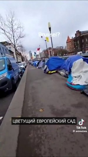 🔥 Цветущий европейский сад