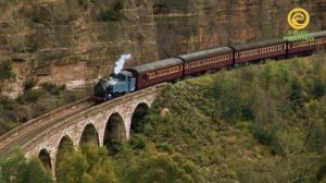 Чудеса природы. Анонс. Канал В Мире Животных