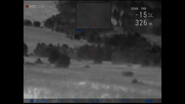 СТАЯ ВОЛКОВ-ВСТРЕЧА смотреть онлайн