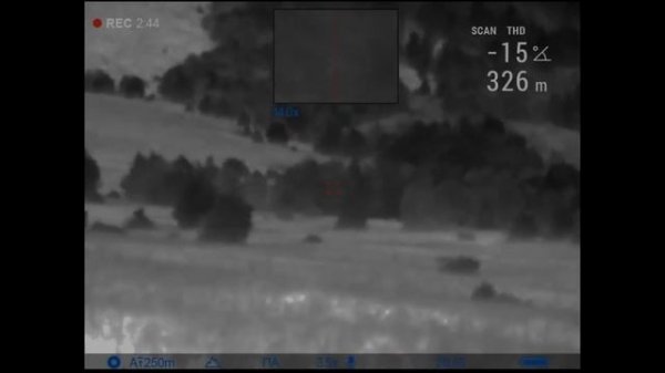 СТАЯ ВОЛКОВ-ВСТРЕЧА