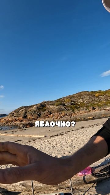 Угостили местным вином в Териберке