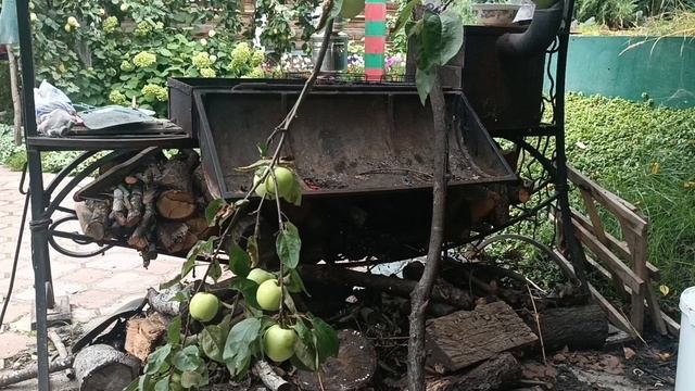 МЕСТО ВСТРЕЧИ ИЗМЕНИТЬ НЕЛЬЗЯ. . МОРЕ ЯБЛОК. Suno*ХОТЕЛОСЬ БЫ КУПИТЬ МОЛОДОСТЬ*.... Шикарно, просто. смотреть онлайн