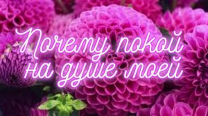 Почему покой на душе моей