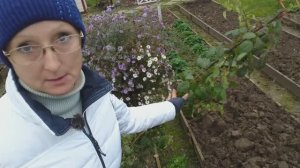 Видео привет с 6 соток 23 октября 2025 года.