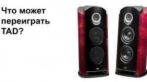 Константин Гертлейн (КГ) и TADы за 18 миллионов - как работает топовый продавец элитной акустики.