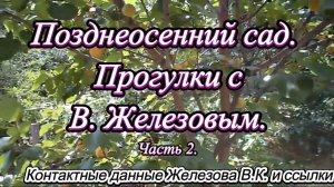 Позднеосенний сад. Прогулки с В. Железовым. Часть 2.