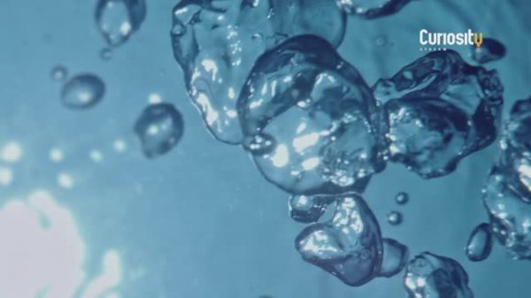 ВОДА - ОСНОВА ЖИЗНИ