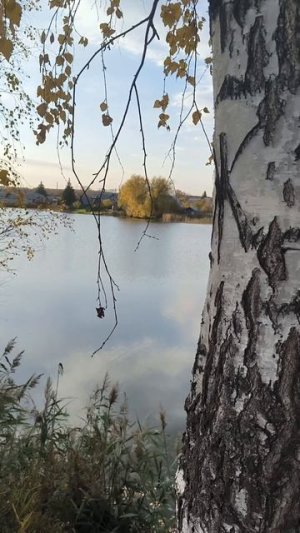 Гипотетический заплыв