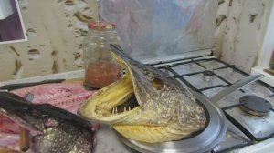 Щука две головы...  сравнил ...