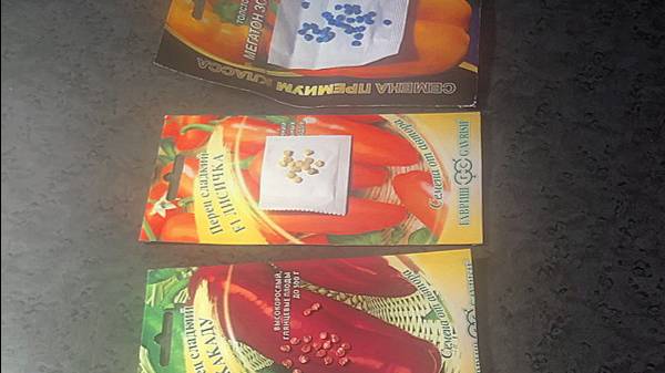 СОРТА ПЕРЦЕВ И ИХ УРОЖАЙНОСТЬ в поликарбонатной теплице. УРОЖАЙ ПЕРЦЕВ 2022 г.