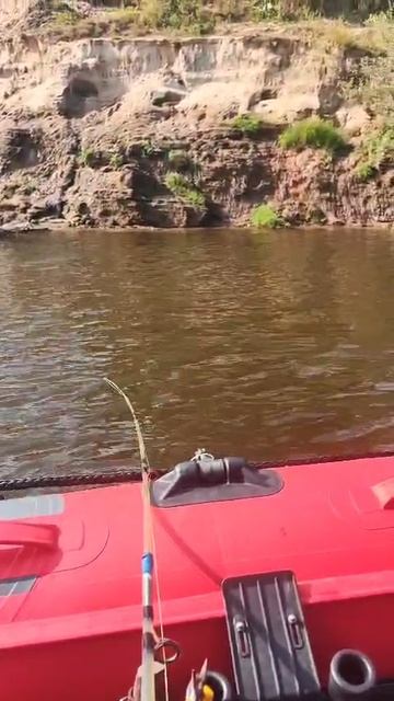 Троллинг смотреть онлайн