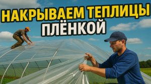 Накрываем теплицы для клубники