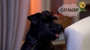 Живой Журнал. Новый сезон. Анонс. Канал В Мире Животных