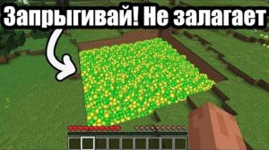 Впечатляющие вещи в Майнкрафт