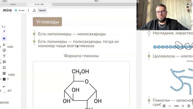 Лекция жиры, углеводы смотреть онлайн