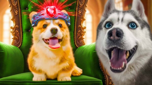 КОРГИ ПРЯНИК из ПАРАЛЛЕЛЬНОГО МИРА! ВЕЛИКИЙ ГРАФ ПРЯНДР ПЯТЫЙ! Хаски Бандит Говорящая собака