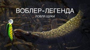Воблер-легенда! Эта приманка сделала мою рыбалку! Ловля щуки осенью.