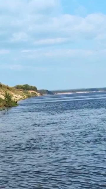 1000019124.mp4 смотреть онлайн