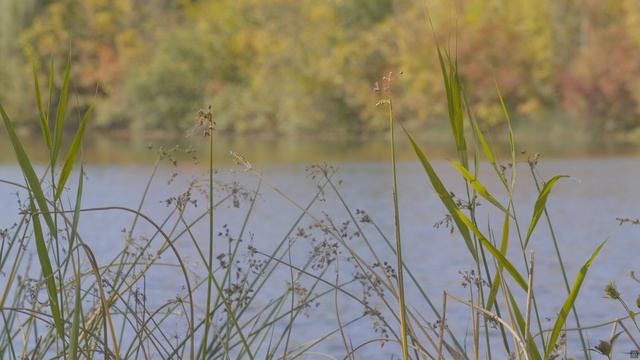 DOLBY VISION Calibration ТЕСТ вашего телевизора BT2020 4KHDR 1K - 10K Nits.