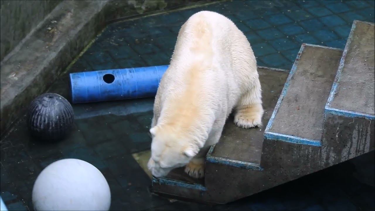 Каю после завтрака не очень хочется играть 22.10.2025 смотреть онлайн