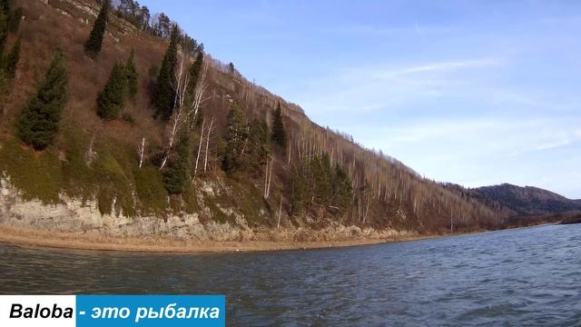 Тайга туманом дышит