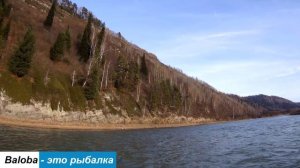 Тайга туманом дышит