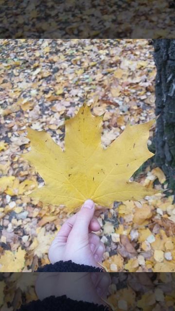 lv_0_20251024115822.mp4 смотреть онлайн