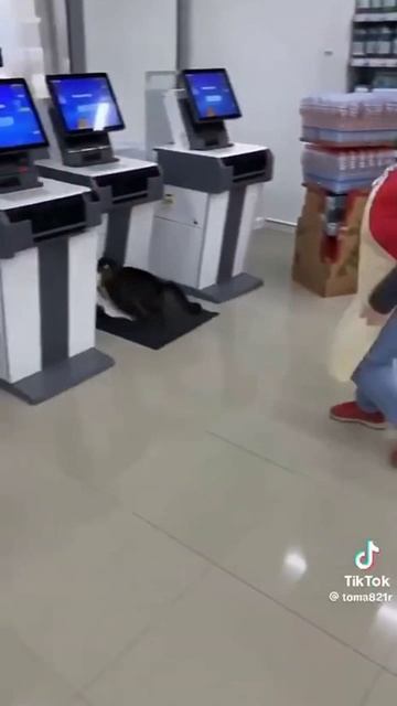 Воришка смотреть онлайн