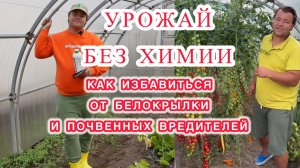 Мы этого ОЧЕНЬ ДОЛГО ЖДАЛИ! Новинки от Экодачник - в борьбе с ВРЕДИТЕЛЯМИ!!!